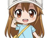 anime Hataraku Saibou determina nendoroid comerciante figuras