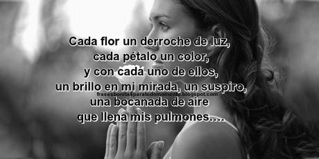 Cada flor un derroche de luz, cada pétalo un color, y con cada uno de ellos, un brillo en mi mirada, un suspiro, una bocanada de aire que llena mis pulmones….