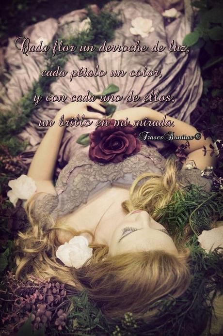 Cada flor un derroche de luz, cada pétalo un color, y con cada uno de ellos, un brillo en mi mirada