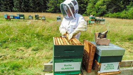 Isla De Re En Francia | 9 Actividades Divertidas Que Hacer En Tu Visita