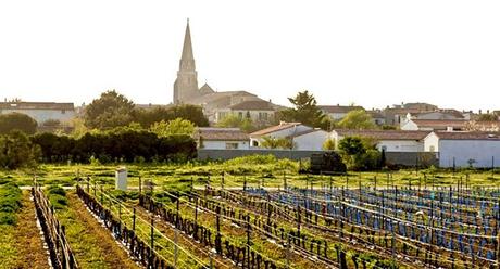 Isla De Re En Francia | 9 Actividades Divertidas Que Hacer En Tu Visita