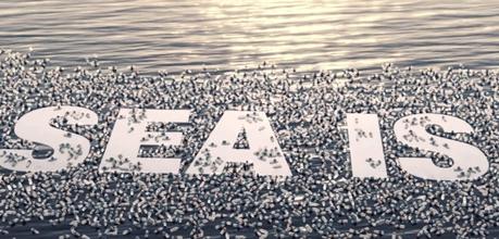 “Un mar muerto es suficiente” una impactante campaña para el cuidado de mares y océanos