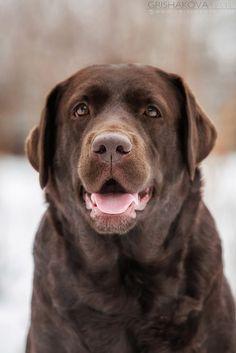 Comentario en Conoce la historia de Jack de Swansea por joanni