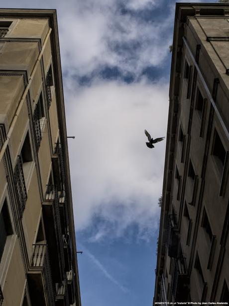 Barcelona (El Raval): Vuelo solitario