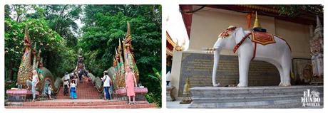 Chiang Mai: Doi Suthep y el templo escondido Wat Pha Lat Chiang Mai: Doi Suthep y el templo escondido Wat Pha Lat
