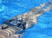 ¿Por arrugan dedos agua?