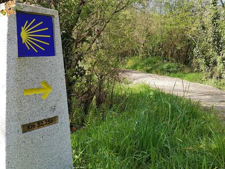 Senderismo por Coruña: Roteiro de San Paio e Outeiro - Ordes