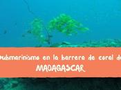 Submarinismo barrera coral Madagascar