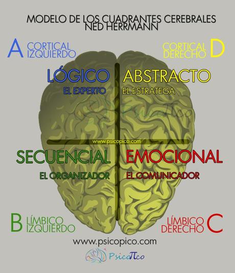 Preferencias Hemisféricas de Ned Herrmann