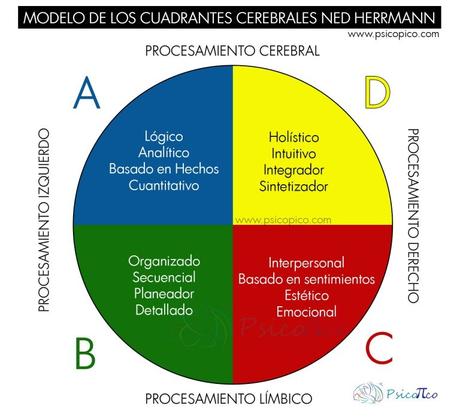 Preferencias Hemisféricas de Ned Herrmann