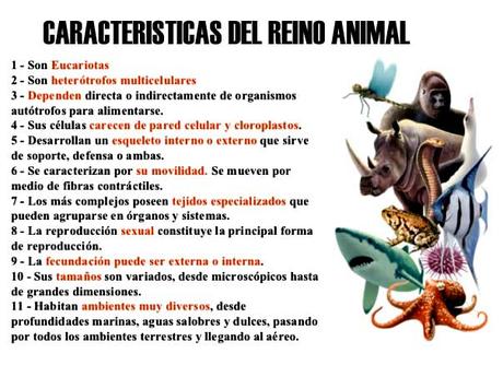 Cuales son las Principales Caracteristicas de los Animales caracteristicas de los animales