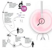 La Fecundación sin Espermatozoides no representa riesgo para el Niño