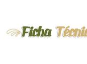 bestiario Axlin Laura Gallego