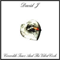 David J., Crocodile Tears And The Velvet Cosh