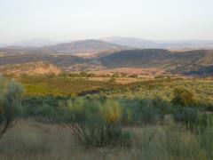 Sierra Norte de Guadalajara, un mundo de sensaciones