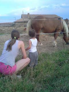 Pasión equina # MiércolesMudo Pasión equina # MiércolesMudo