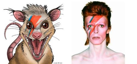 Descubren un mamífero que convivió con dinosaurios y le hacen un homenaje a David Bowie