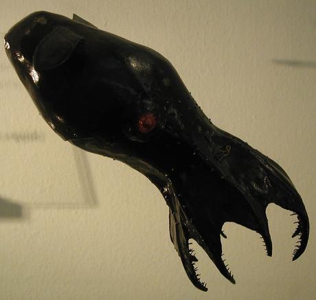El calamar vampiro El calamar vampiro