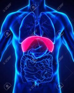 ¿te Gustaría Cantar Correctamente?