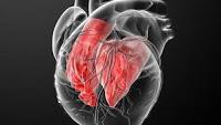 Publican una Guía Actualizada para el Manejo de Cardiopatías Congénitas