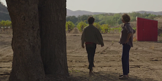 Mujeres del siglo XX (20th century women, Mike Mills, 2016. EEUU)