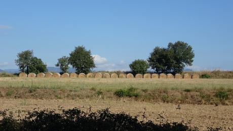 Ruta alrededor del Estany de Sils | Girona