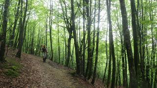 TRANSPIRENAICA GR11 ETAPA 1: ELIZONDO - SOROGAIN TRANSPIRENAICA GR11 ETAPA 1: ELIZONDO - SOROGAIN