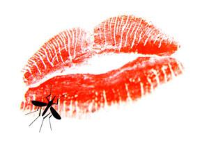 el villano arrinconado, amor, sexo el villano arrinconado, humor, chistes, reir, satira, mosquito, amor, sexo