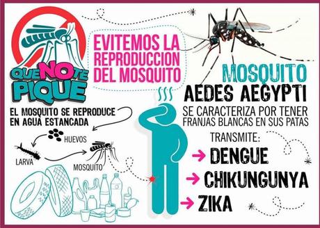 Medicina del viajero VI: el dengue, síntomas y tratamiento