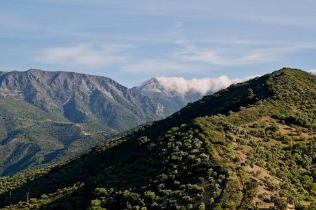 ZAHARA DE LA SIERRA: LA VIGÍA