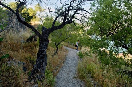 ZAHARA DE LA SIERRA: LA VIGÍA