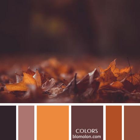 Variedad En Color 9 Paletas