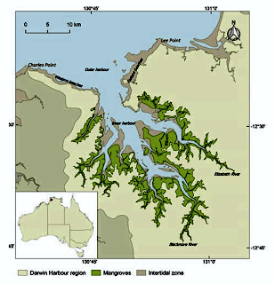 Comprendiendo los procesos costeros para ayudar con el manejo de la erosión costera en Darwin Harbour (Territorio del Norte, Australia)
