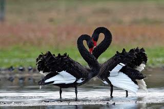 QUE NO HAY FUTURO SIN DOS...