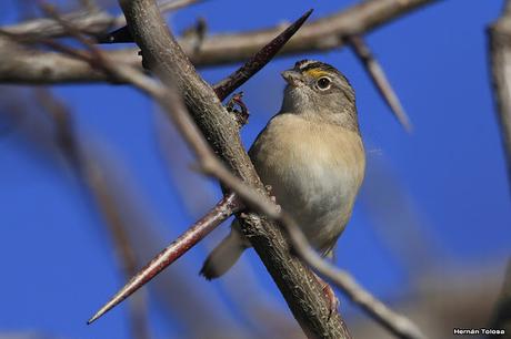Por caminos de General Belgrano (junio 2018) Por caminos de General Belgrano (junio 2018)