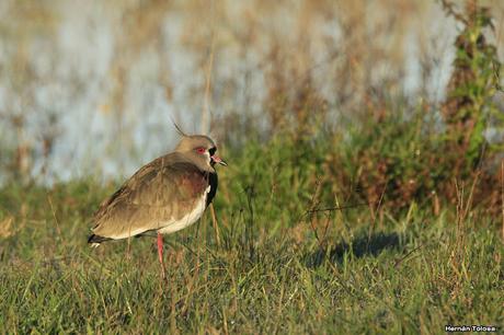 Por caminos de General Belgrano (junio 2018) Por caminos de General Belgrano (junio 2018)