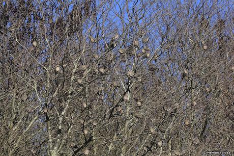 Por caminos de General Belgrano (junio 2018) Por caminos de General Belgrano (junio 2018)