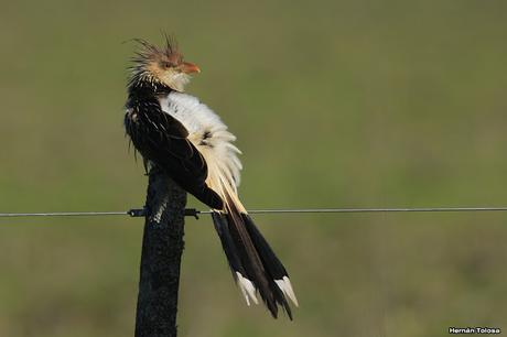 Por caminos de General Belgrano (junio 2018) Por caminos de General Belgrano (junio 2018)