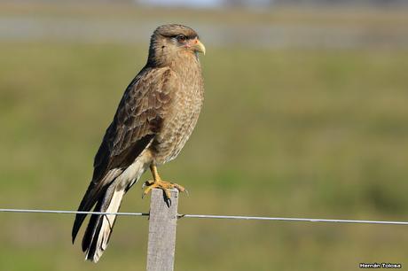 Por caminos de General Belgrano (junio 2018) Por caminos de General Belgrano (junio 2018)