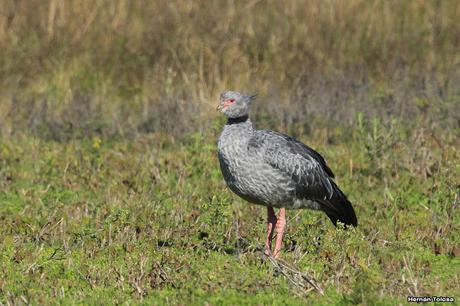 Por caminos de General Belgrano (junio 2018) Por caminos de General Belgrano (junio 2018)