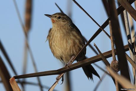 Por caminos de General Belgrano (junio 2018) Por caminos de General Belgrano (junio 2018)