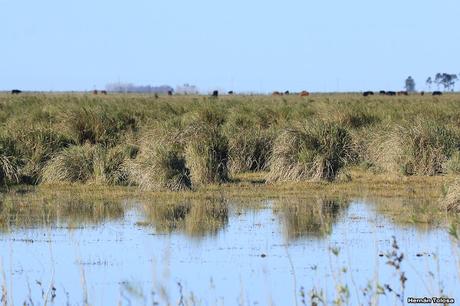 Por caminos de General Belgrano (junio 2018) Por caminos de General Belgrano (junio 2018)