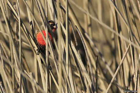 Por caminos de General Belgrano (junio 2018) Por caminos de General Belgrano (junio 2018)
