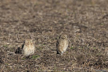 Por caminos de General Belgrano (junio 2018) Por caminos de General Belgrano (junio 2018)