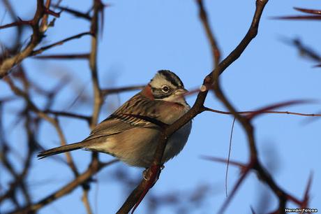 Por caminos de General Belgrano (junio 2018) Por caminos de General Belgrano (junio 2018)
