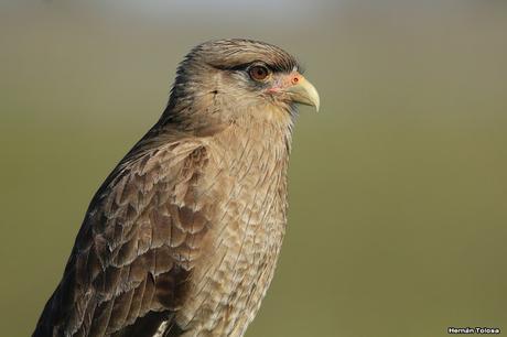 Por caminos de General Belgrano (junio 2018) Por caminos de General Belgrano (junio 2018)