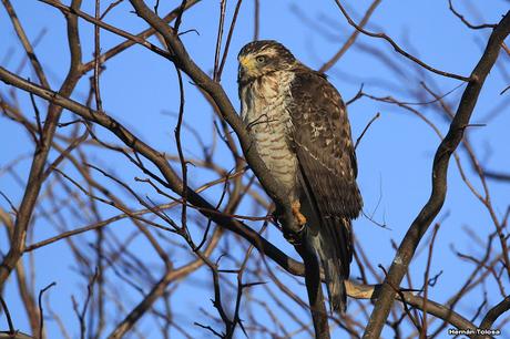 Por caminos de General Belgrano (junio 2018) Por caminos de General Belgrano (junio 2018)