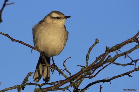 Por caminos de General Belgrano (junio 2018) Por caminos de General Belgrano (junio 2018)