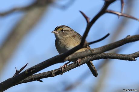 Por caminos de General Belgrano (junio 2018) Por caminos de General Belgrano (junio 2018)