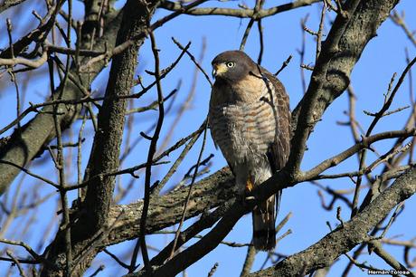 Por caminos de General Belgrano (junio 2018) Por caminos de General Belgrano (junio 2018)